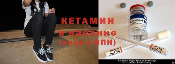 индика Балабаново