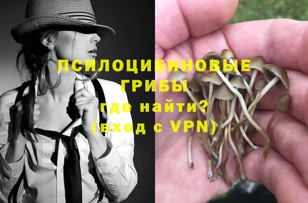 индика Балабаново