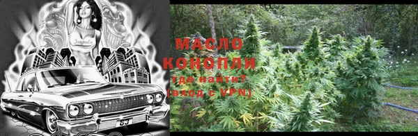 индика Балабаново