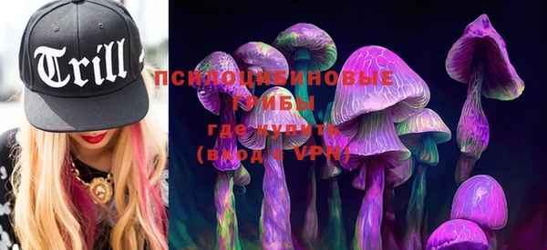 индика Балабаново