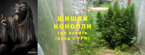 PSILOCYBIN Баксан